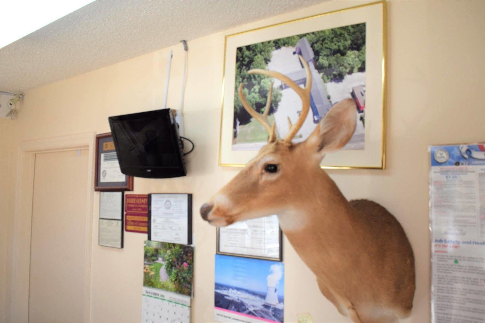 Liberty Inn Waynesboro Dış mekan fotoğraf